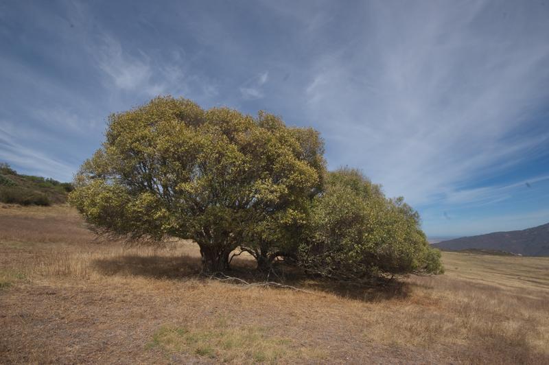 6 Bedroom Property for Sale in Piketberg Rural Western Cape